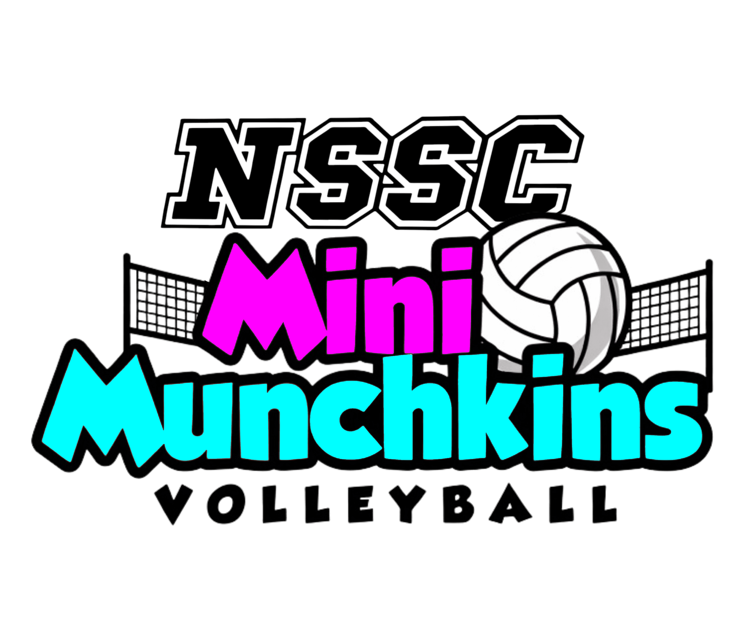 mini muchkins - youth volleyball